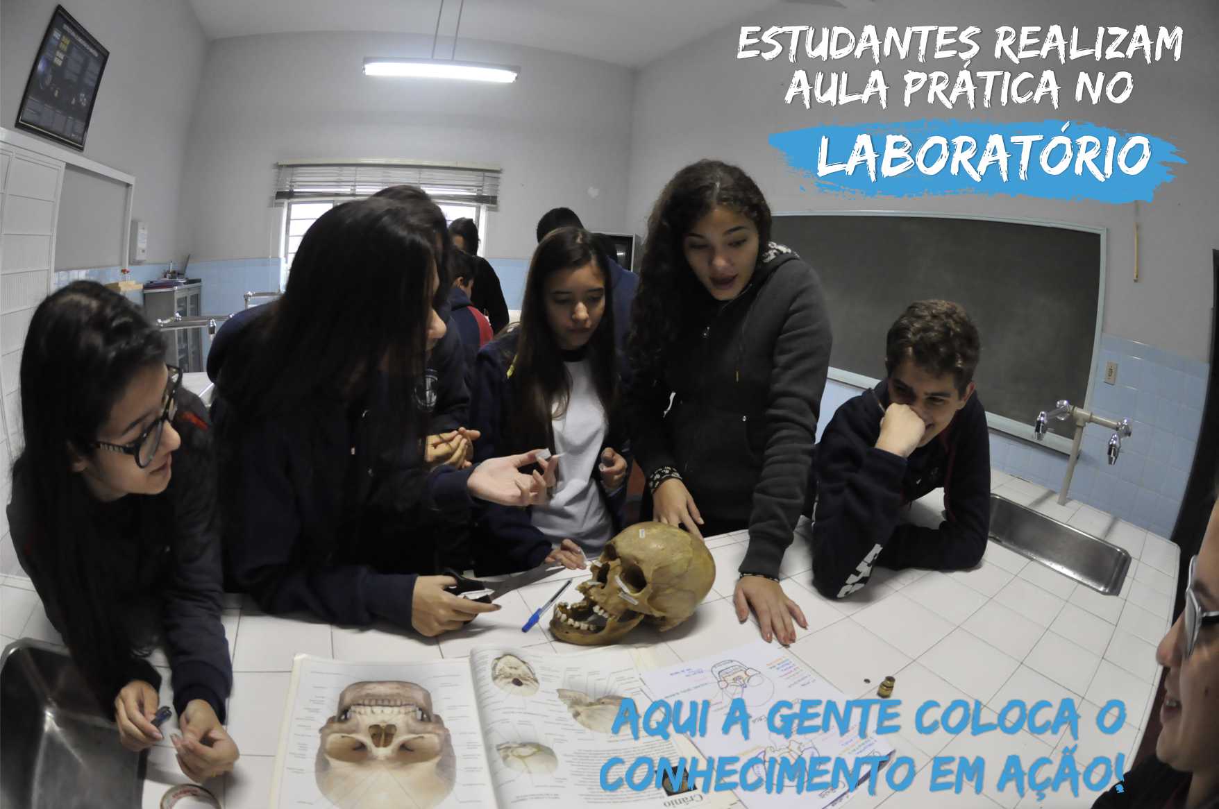 Alunos do Ensino Médio realizam semanalmente aulas práticas no Laboratório de Ciências