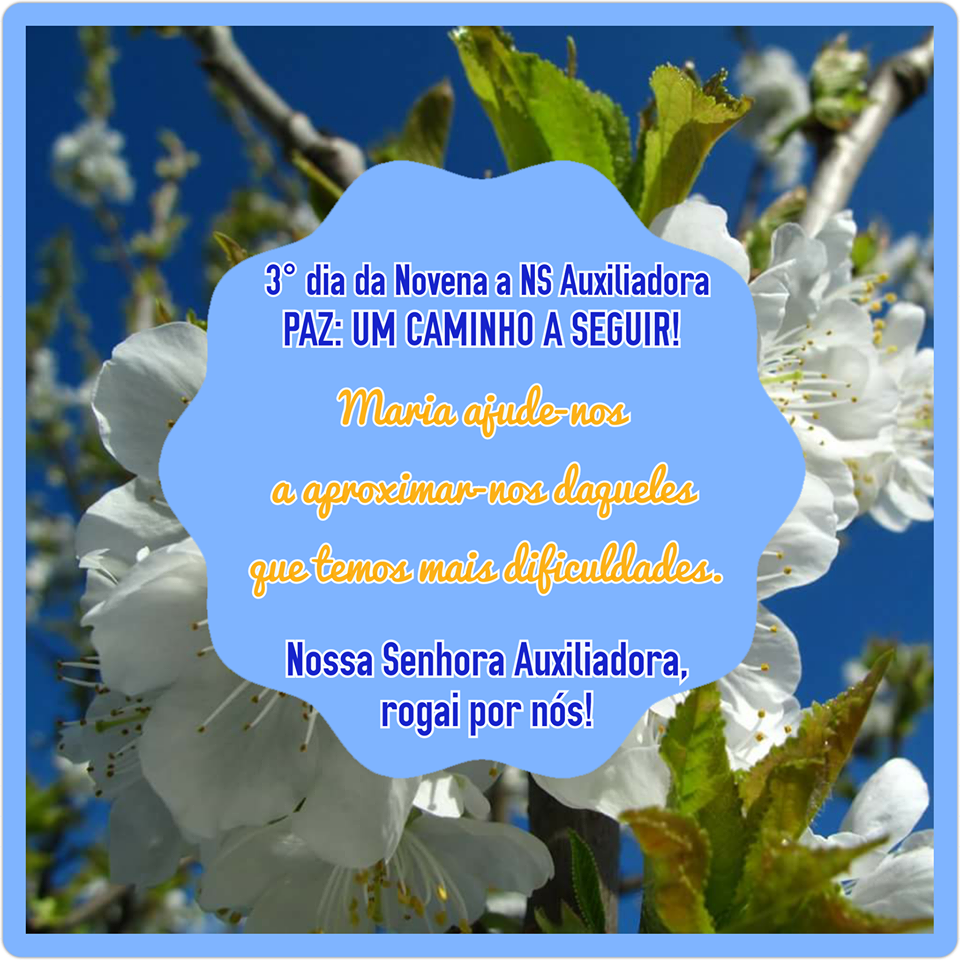Novena: 3° dia - 15 de maio (2° feira): PAZ: UM CAMINHO A SEGUIR!