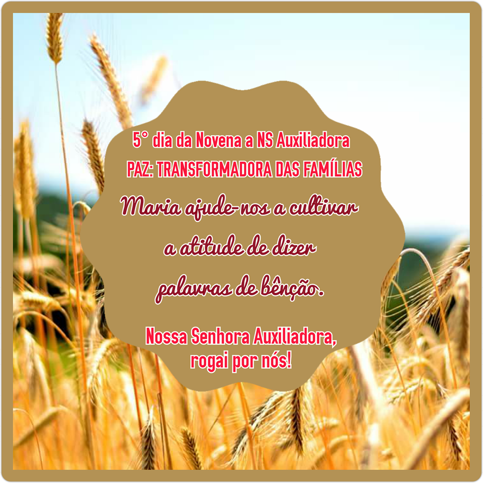 NOVENA: 5° dia - 17 de maio (4° feira): PAZ: TRANSFORMADORA DAS FAMÍLIAS