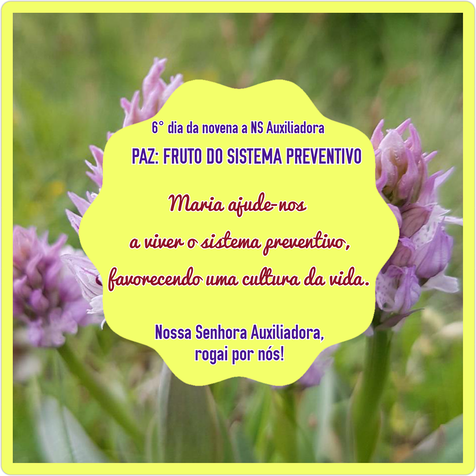 NOVENA: 6° dia - 18 de maio (5° feira): PAZ: FRUTO DO SISTEMA PREVENTIVO