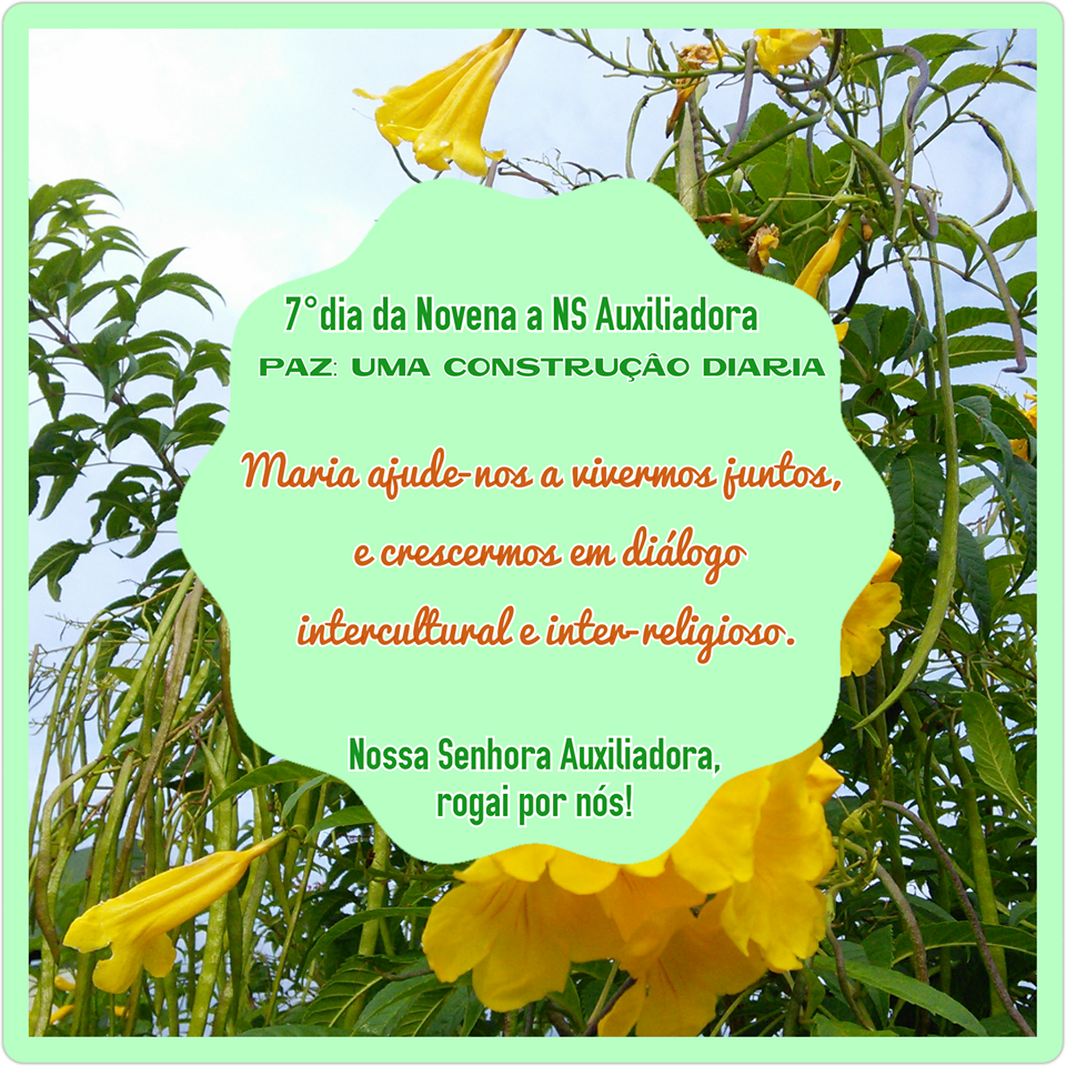 NOVENA: 7° dia - 19 de maio (6° feira): PAZ: UMA CONSTRUÇÃO DIÁRIA